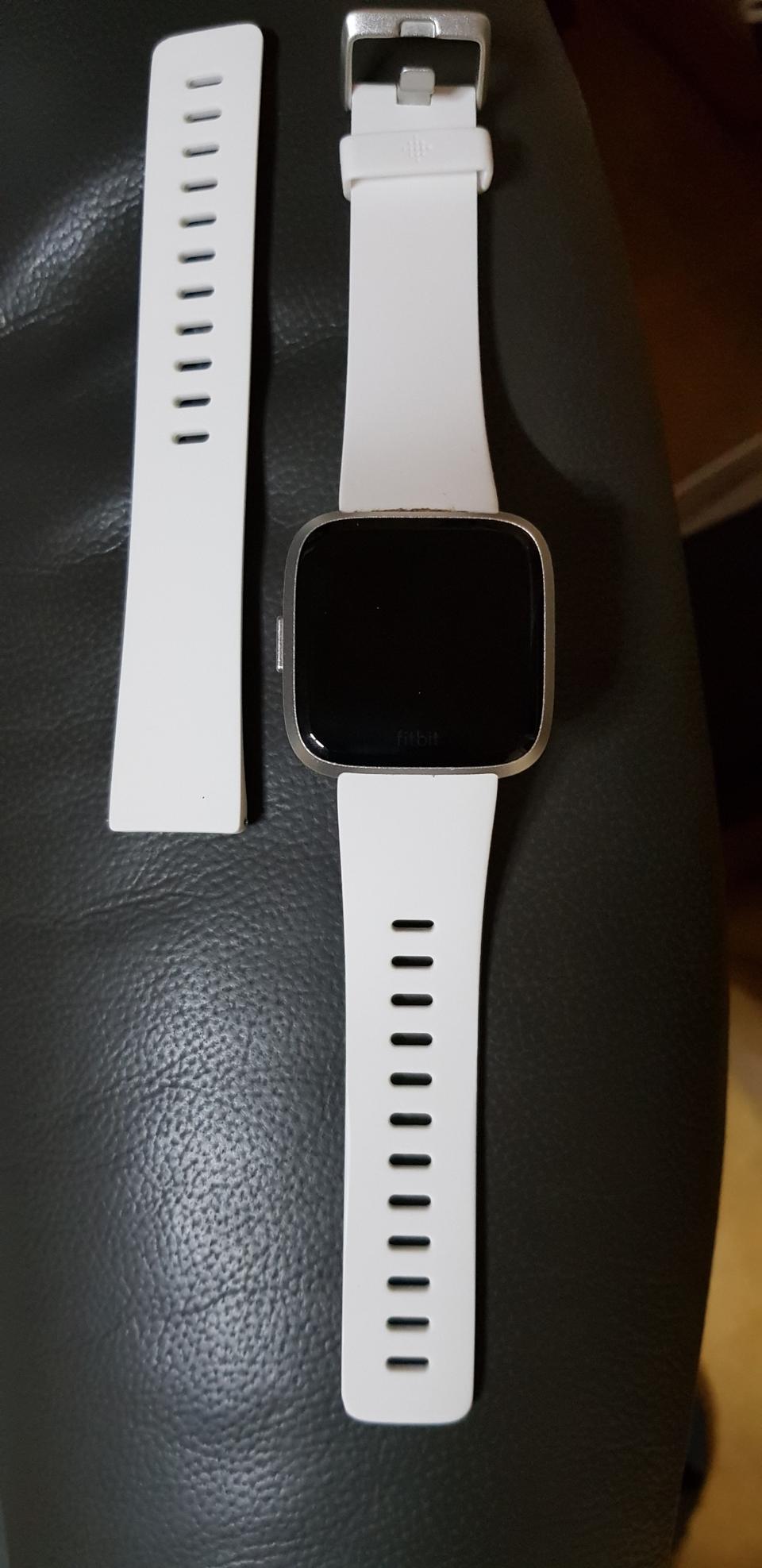 핏빗버사라이트