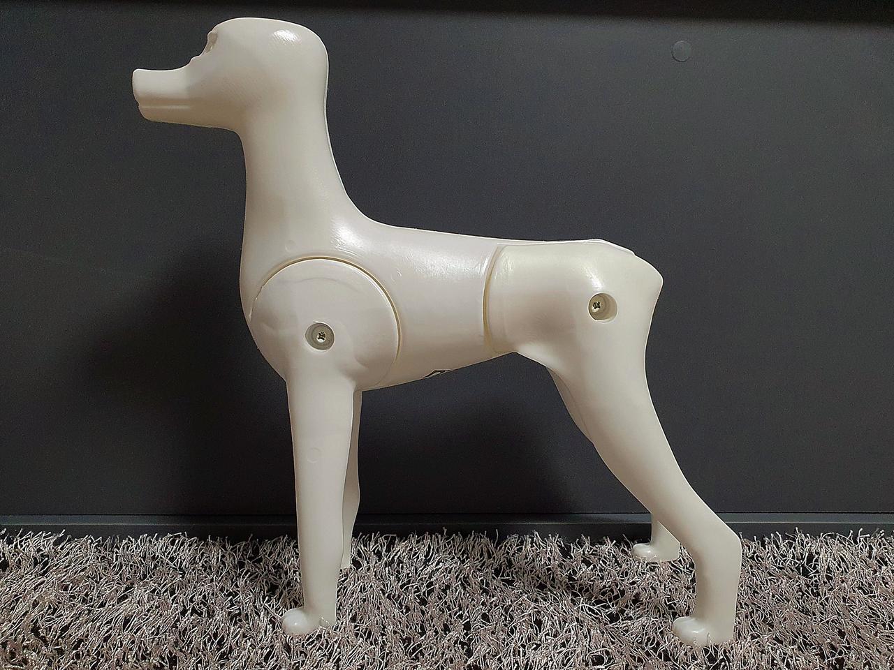 애견미용 도그위그 위그 견체모형