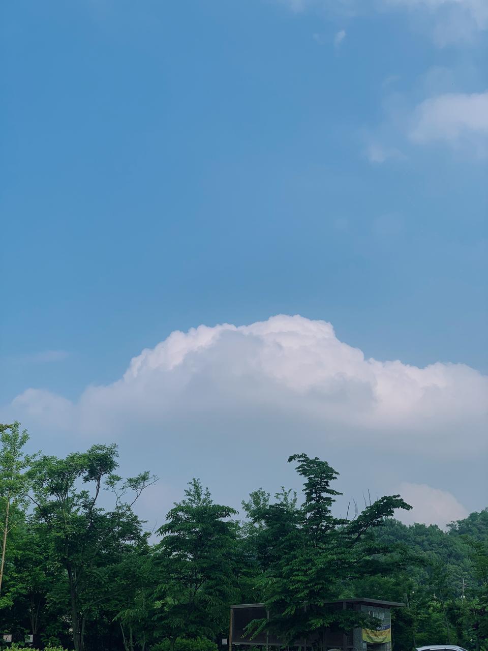 갤럭시 버즈 / 디우크카페