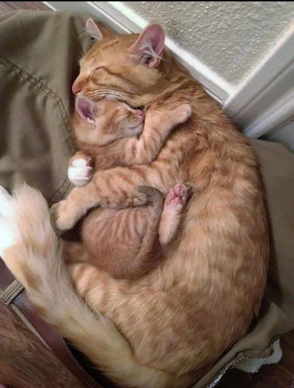 ■■■삼성역 주차권 판매■■■