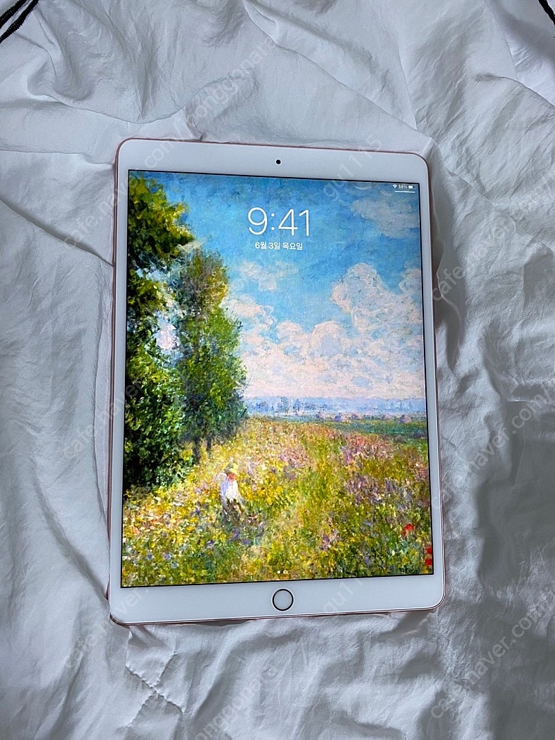 아이패드 프로 2세대  10.5로즈골드 64 wifi