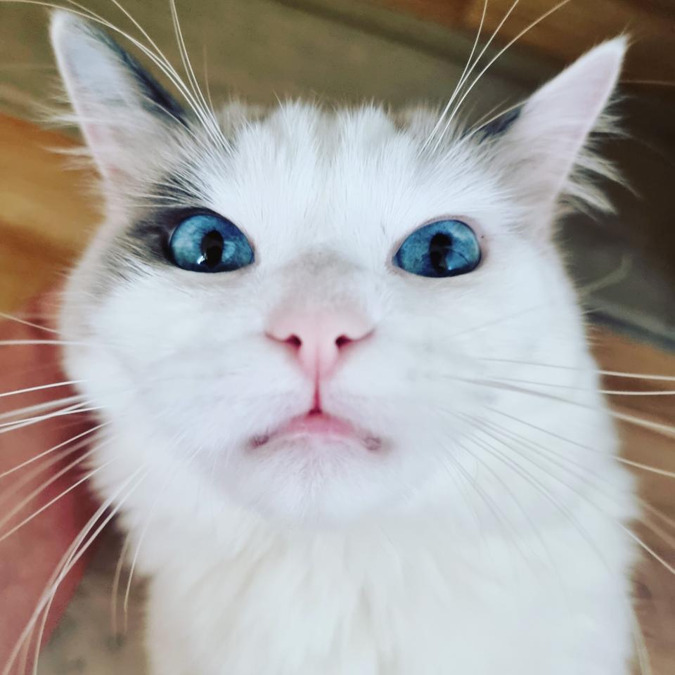 노트10+액정 앞뒤파손폰 부품폰