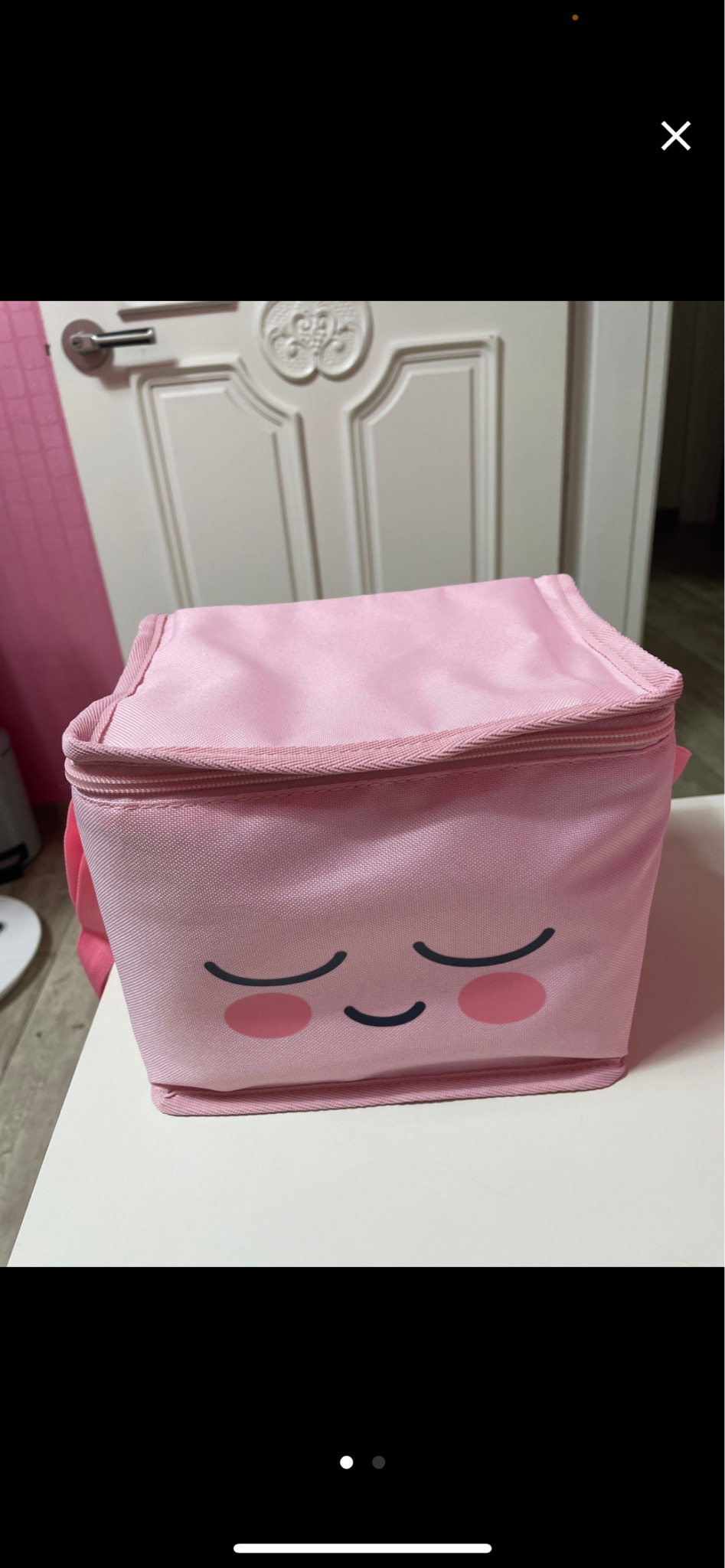 어피치 보냉 피크닉백