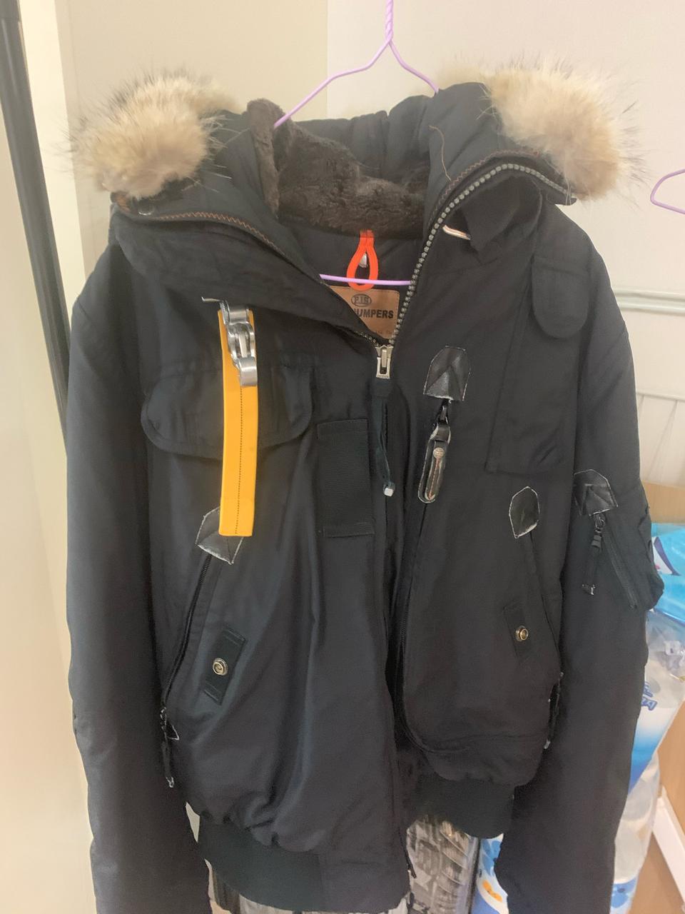 파라점퍼스 고비