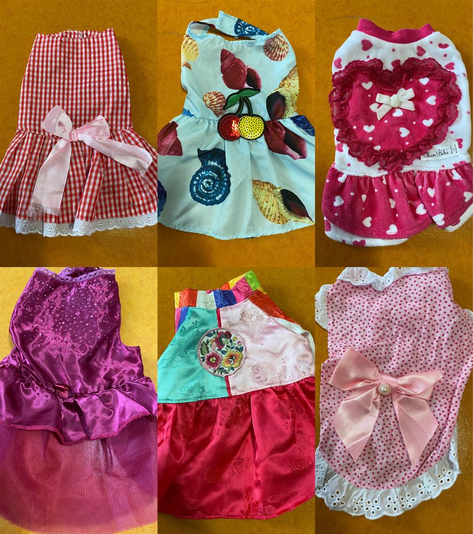 강아지여름옷m사이즈