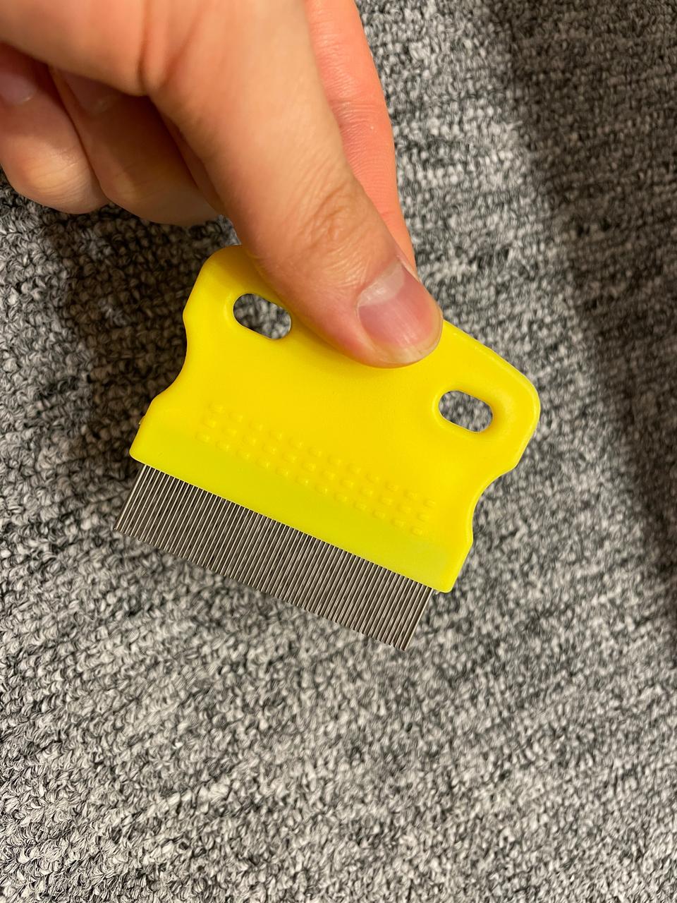 강아지 고양이 눈꼽제거 참빗