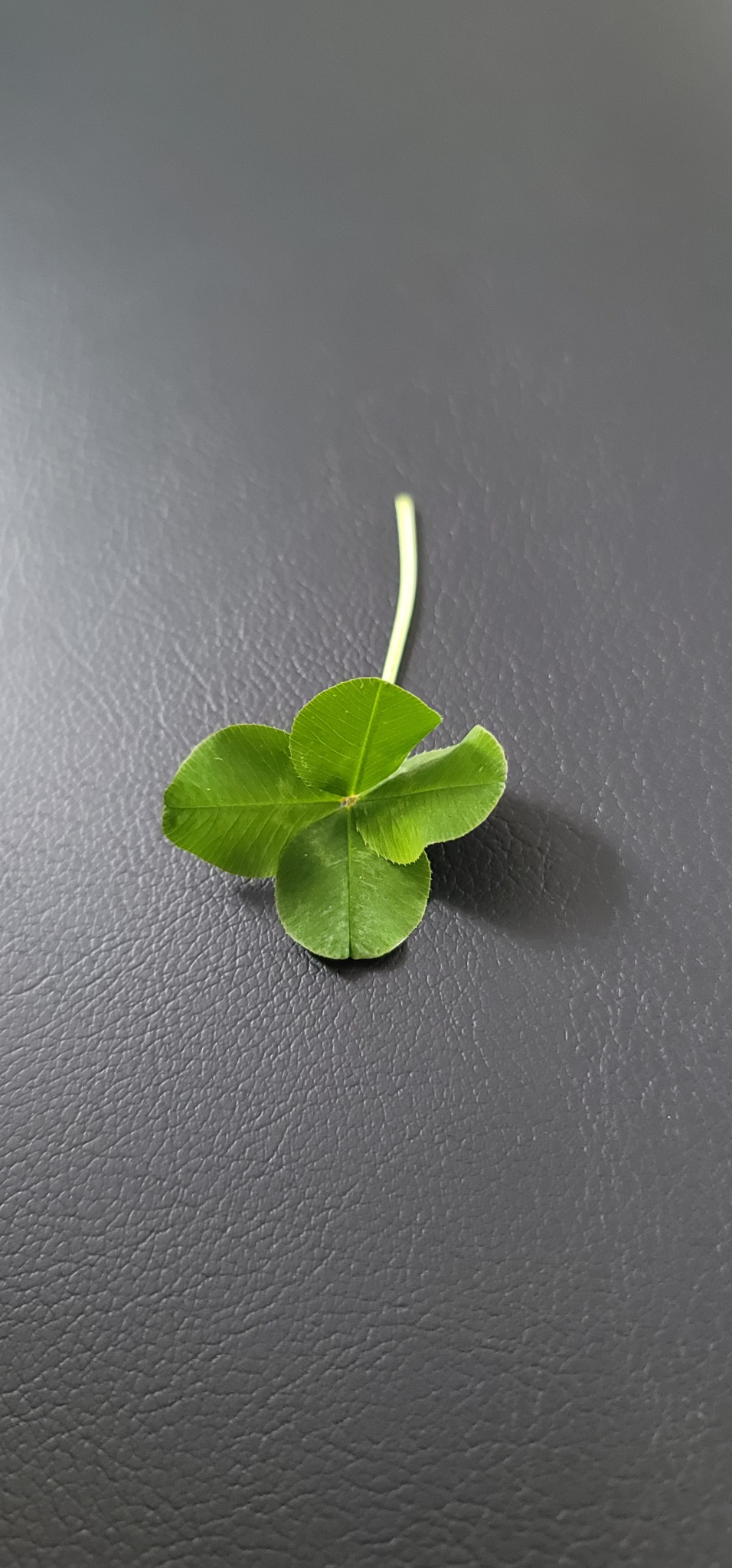 갑십원 상평통보