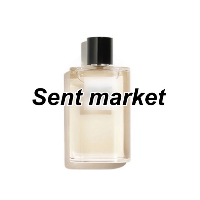 C 샤넬 베니스type