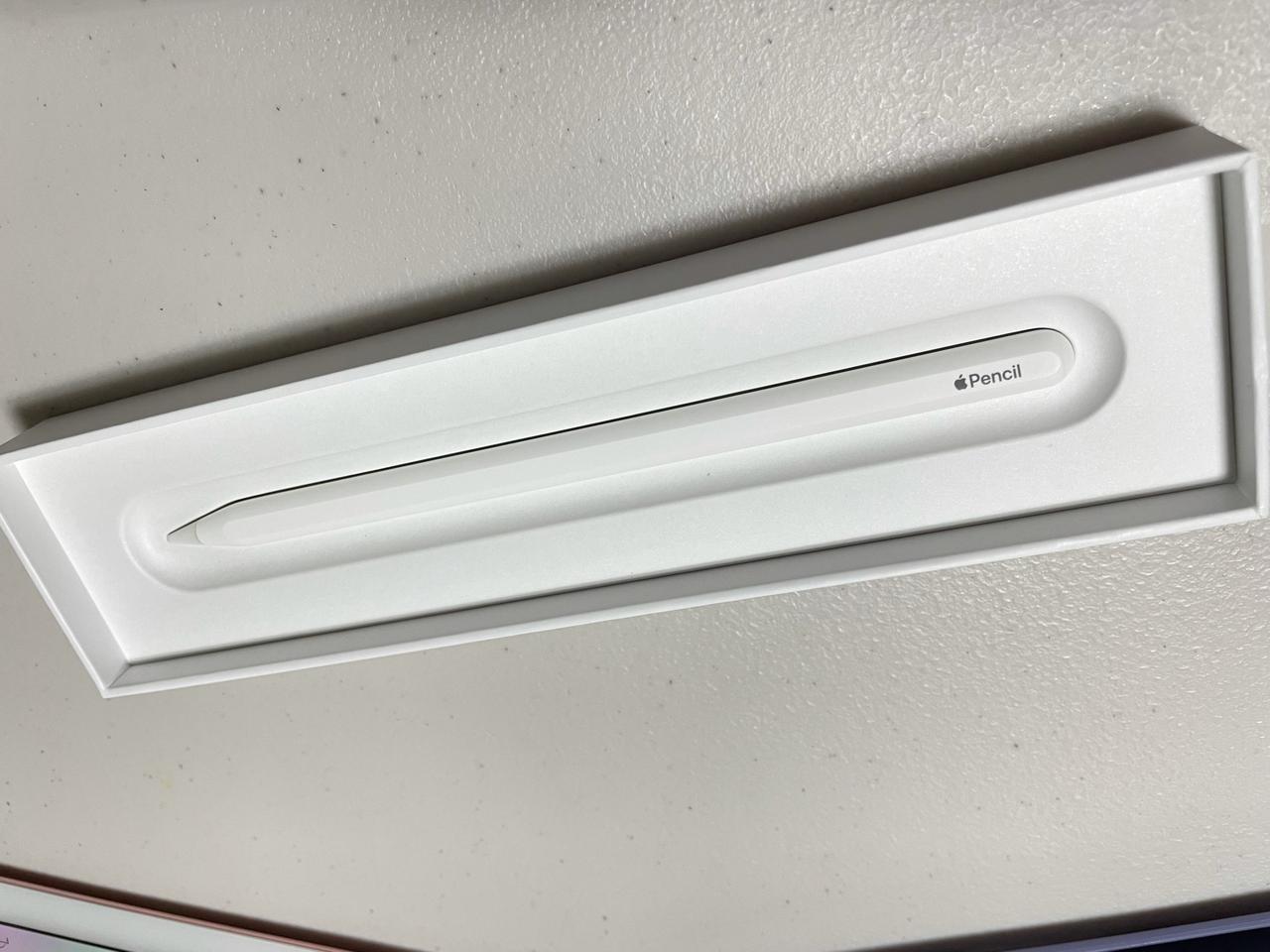 애플펜슬 2세대