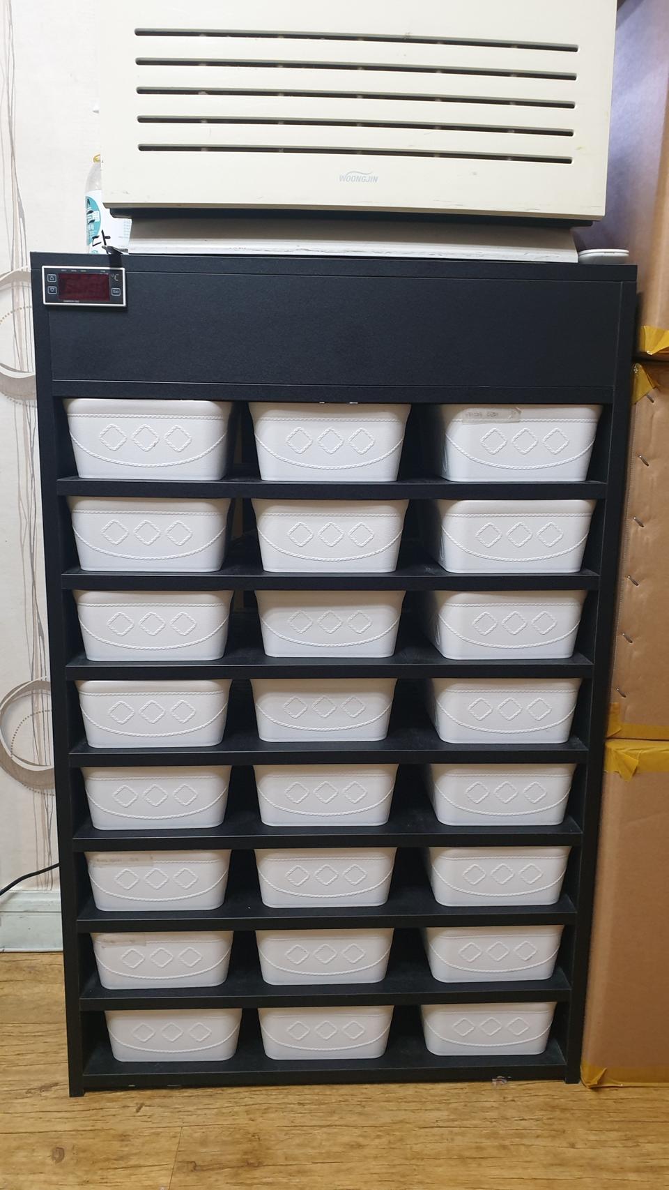 렉사육장 판매합니다