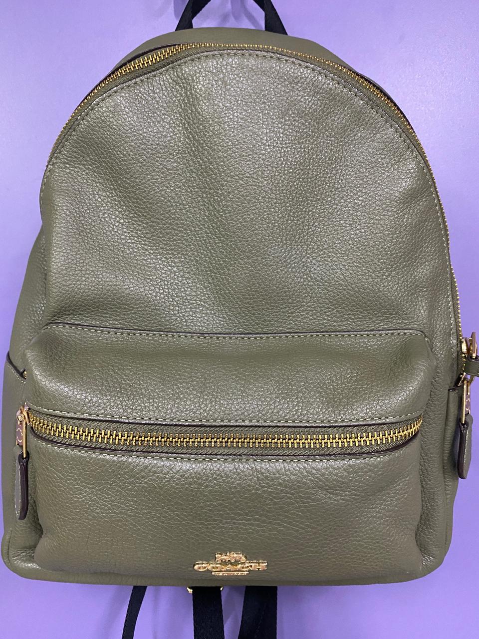 정품 코치 찰리 백팩 F30550 IMMGR