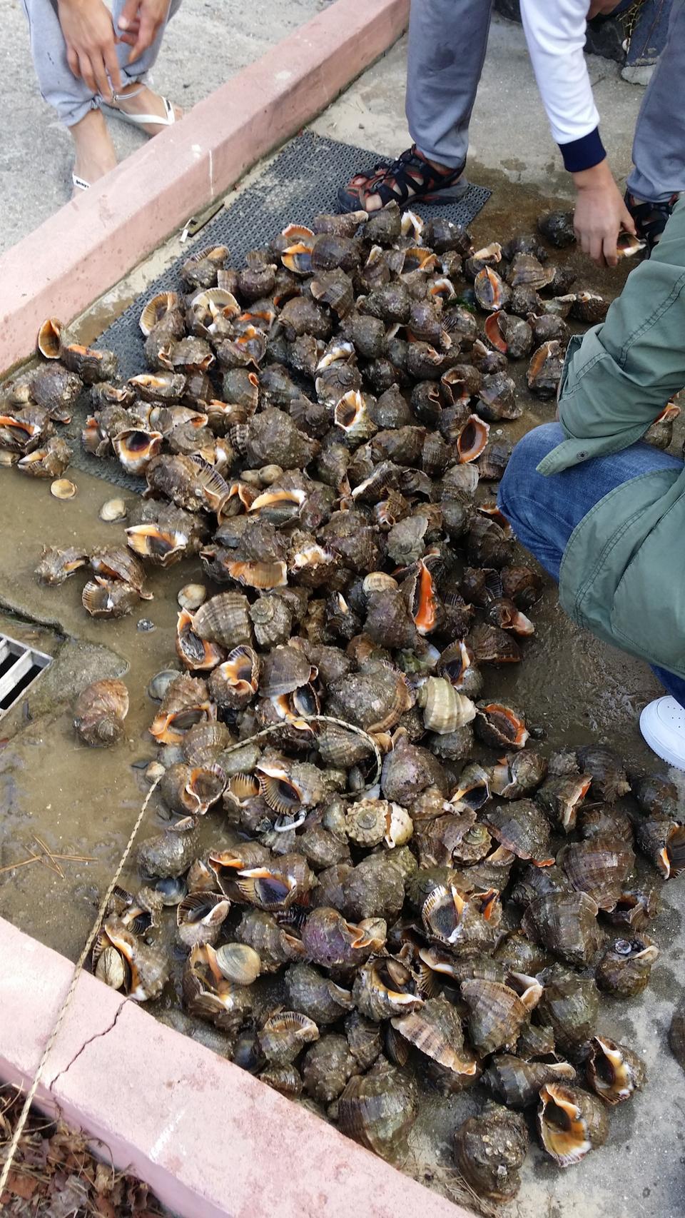 해루질 써치 리툼배터리 충전기