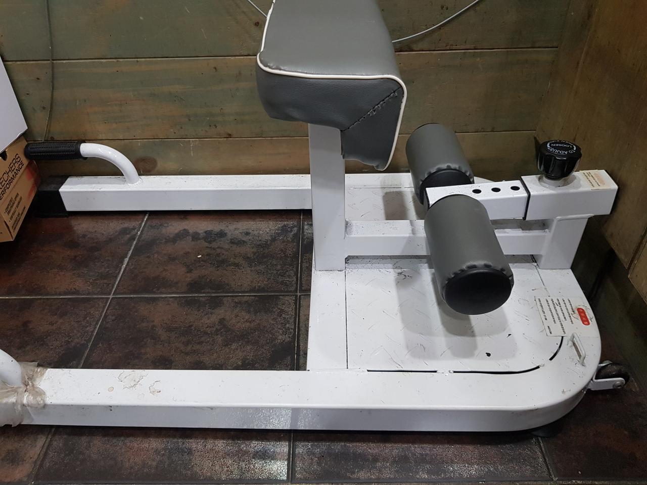 렉스파 스커트머신