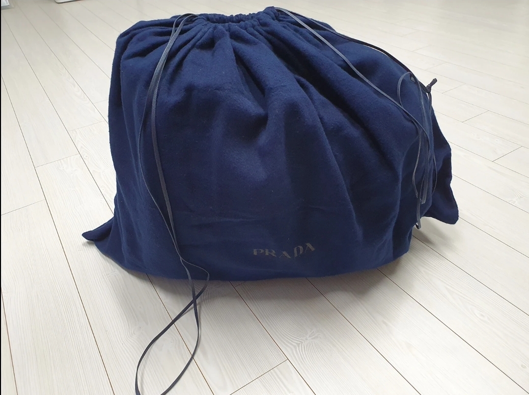 프라다 이서진 백팩 프랑켄콜라보에디션