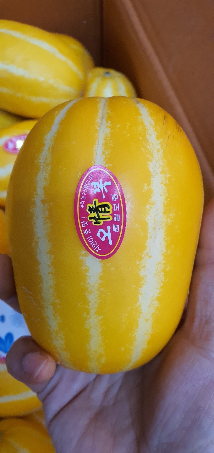 경매장에서 바로 보내드리는 칠곡 벌꿀 참외