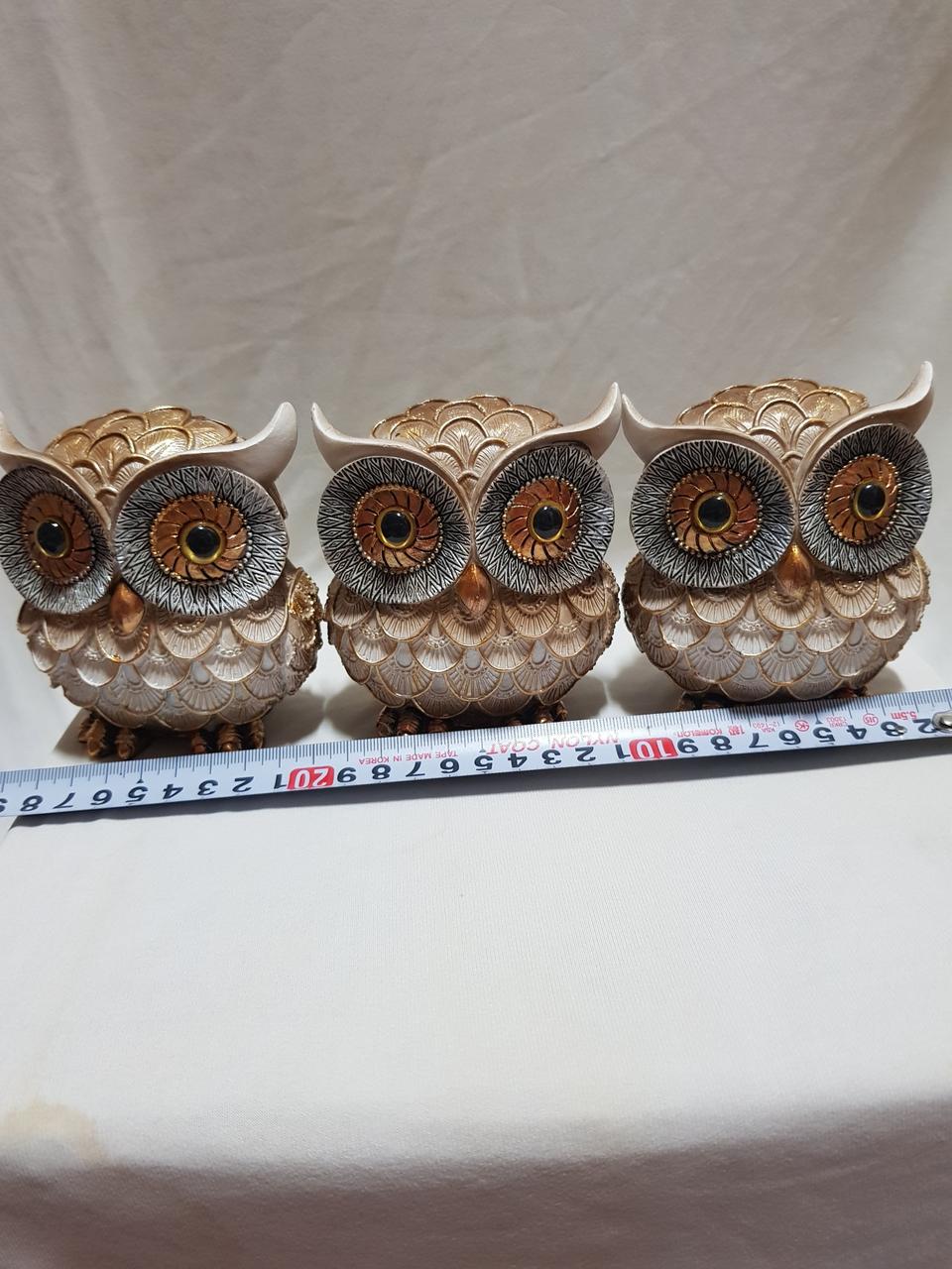 마블 부엉이셋트