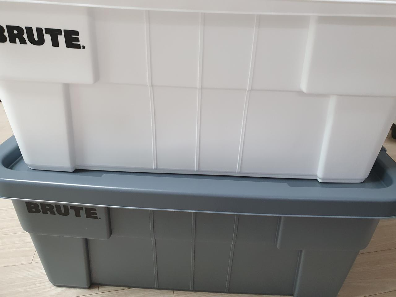 브루트 도트박스