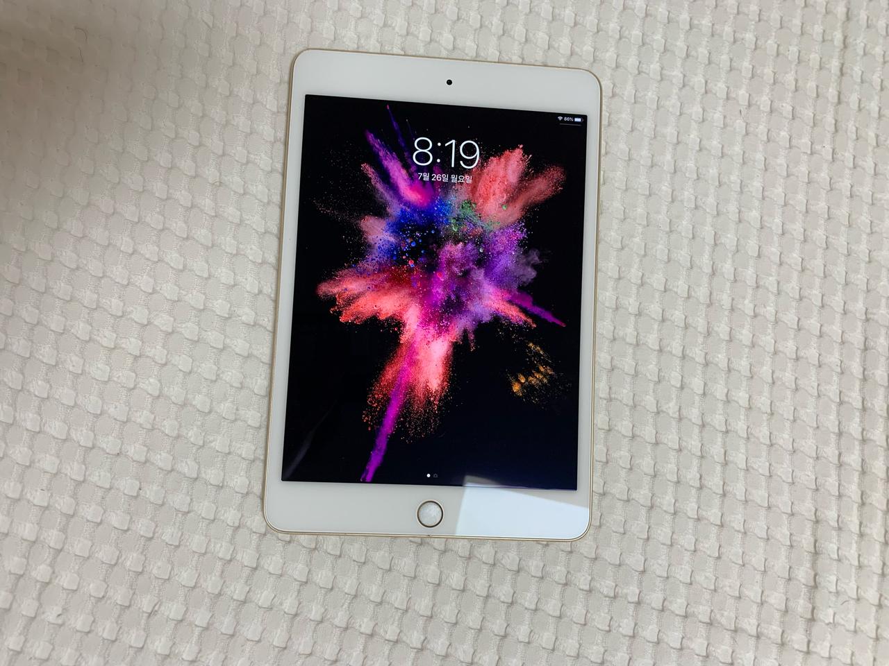 아이패드 미니4 64g wifi (정품 스마트 커버/정품 실리콘 케이스)