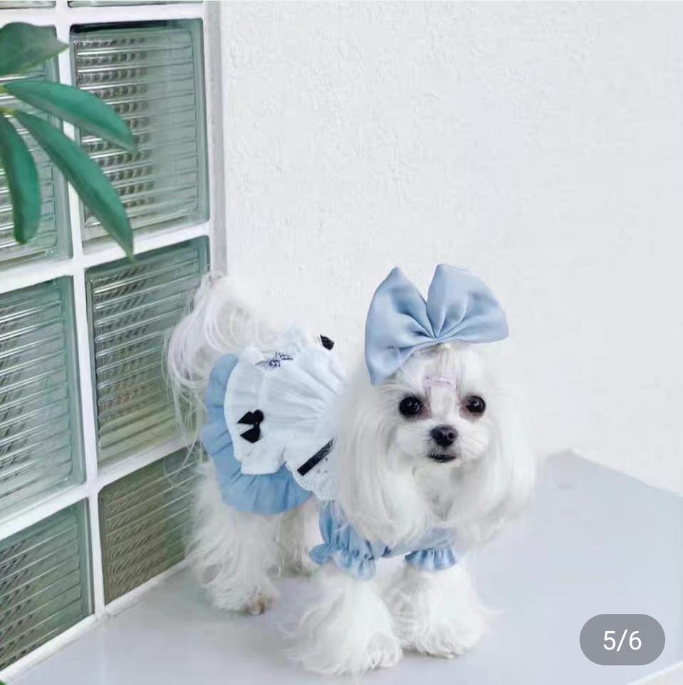 고양이/강아지 코스튬 하녀유니폼S/M/L