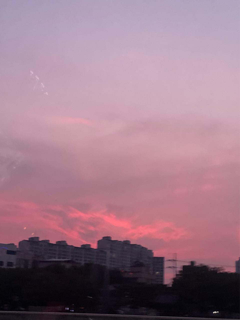 휴대폰 악세사리