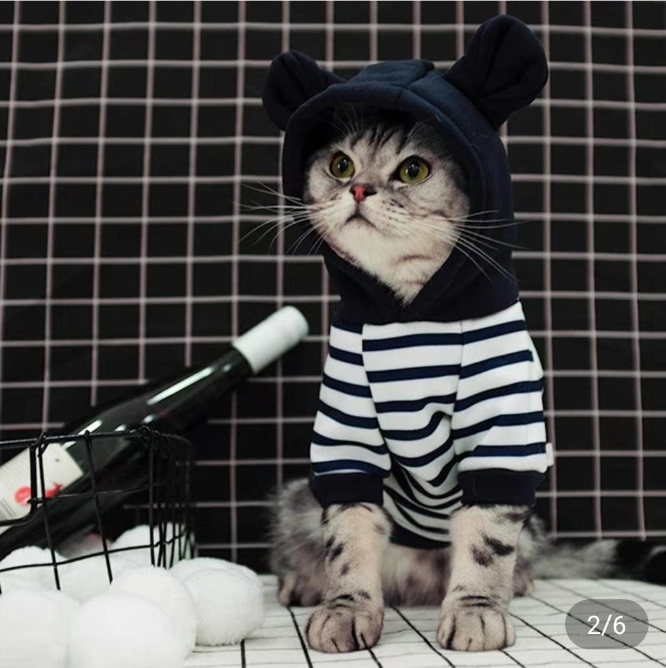 반려동물 후드티/옷