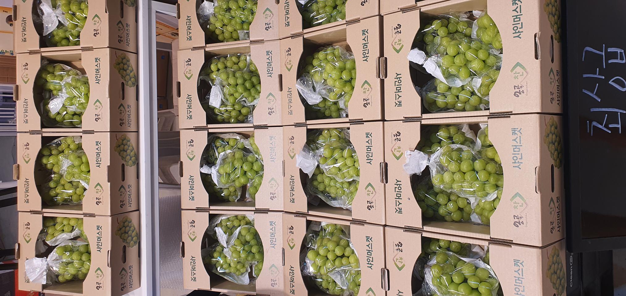 경매장 샤인머스켓