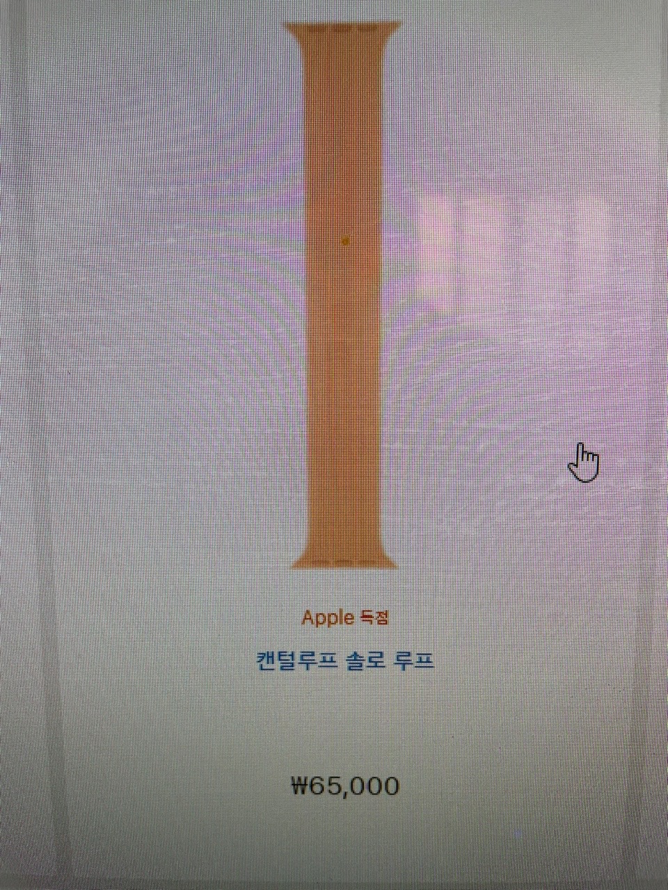 애플워치 정품 40MM 캔털루프 솔로루프