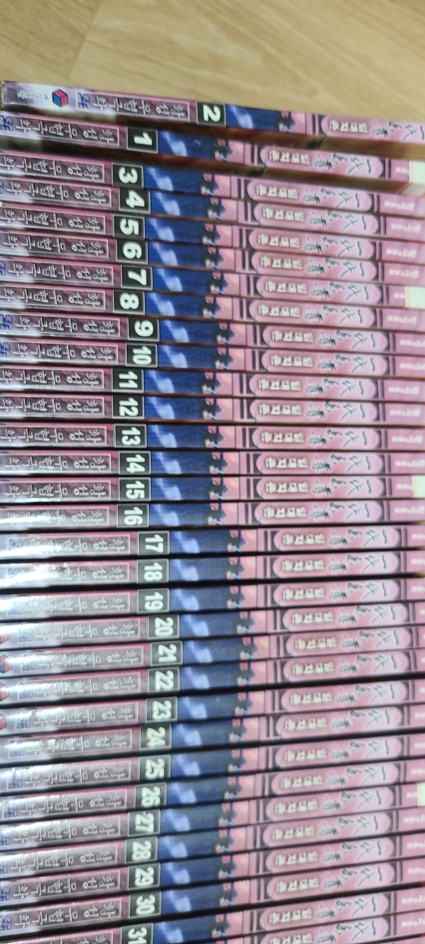 일대지존 1-39완결 황성무협