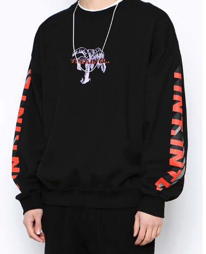 디스이즈네버댓 맨투맨 M 실착1회