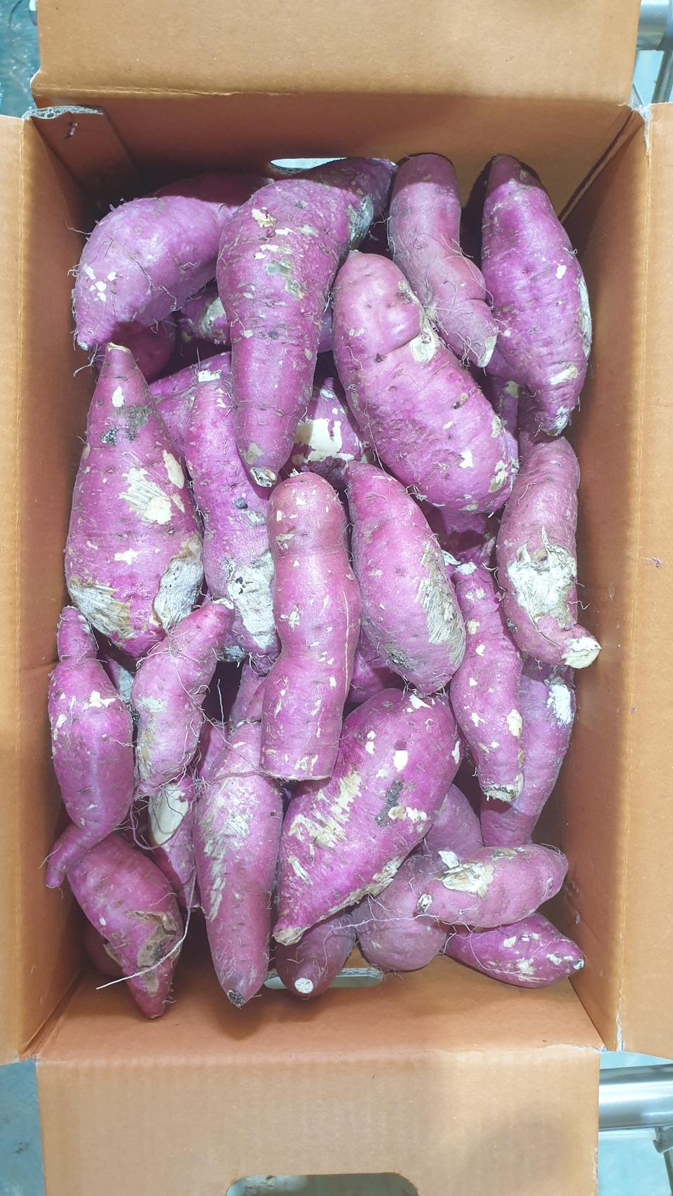 꿀고구마 못난이고구마 10키로 무료배송