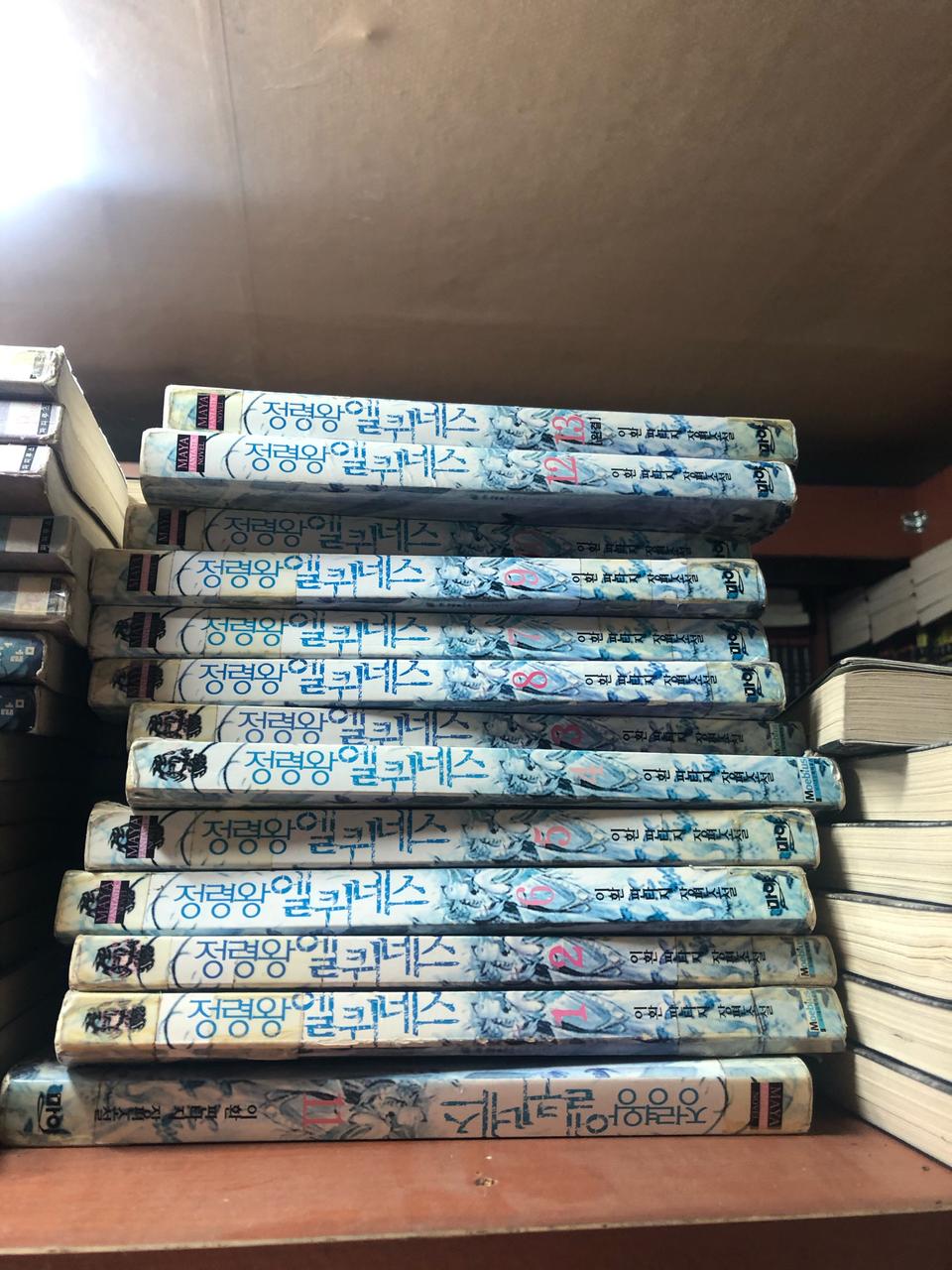 정령왕엘퀴네스(1-13)(완결)