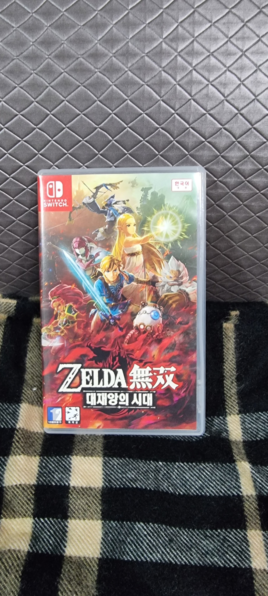 닌텐도스위치 대재앙의시대