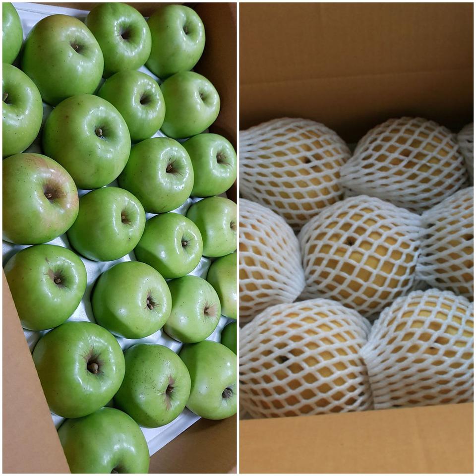 아오리사과랑 원황 햇배 합쳐서10키로