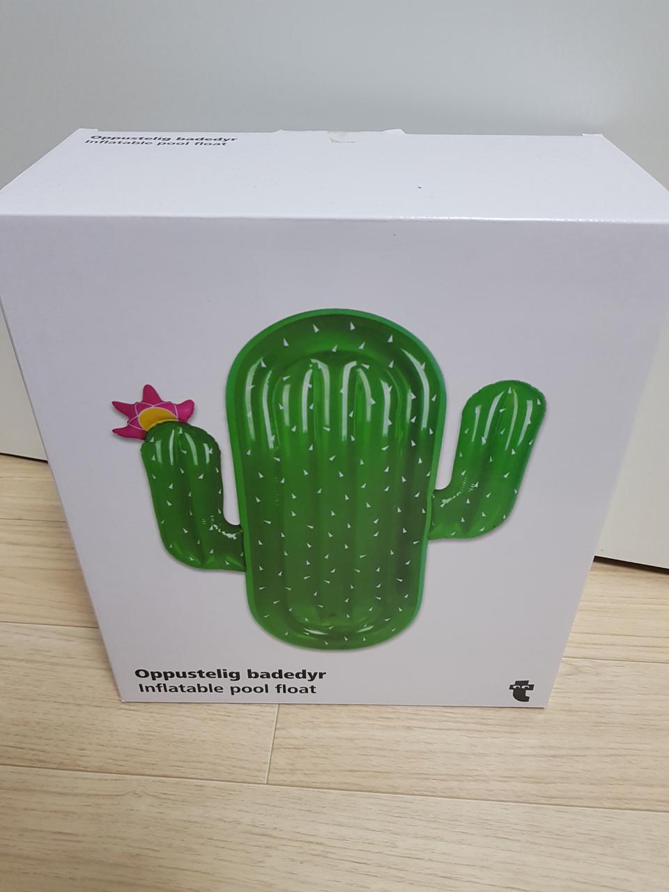 선인장 대형튜브