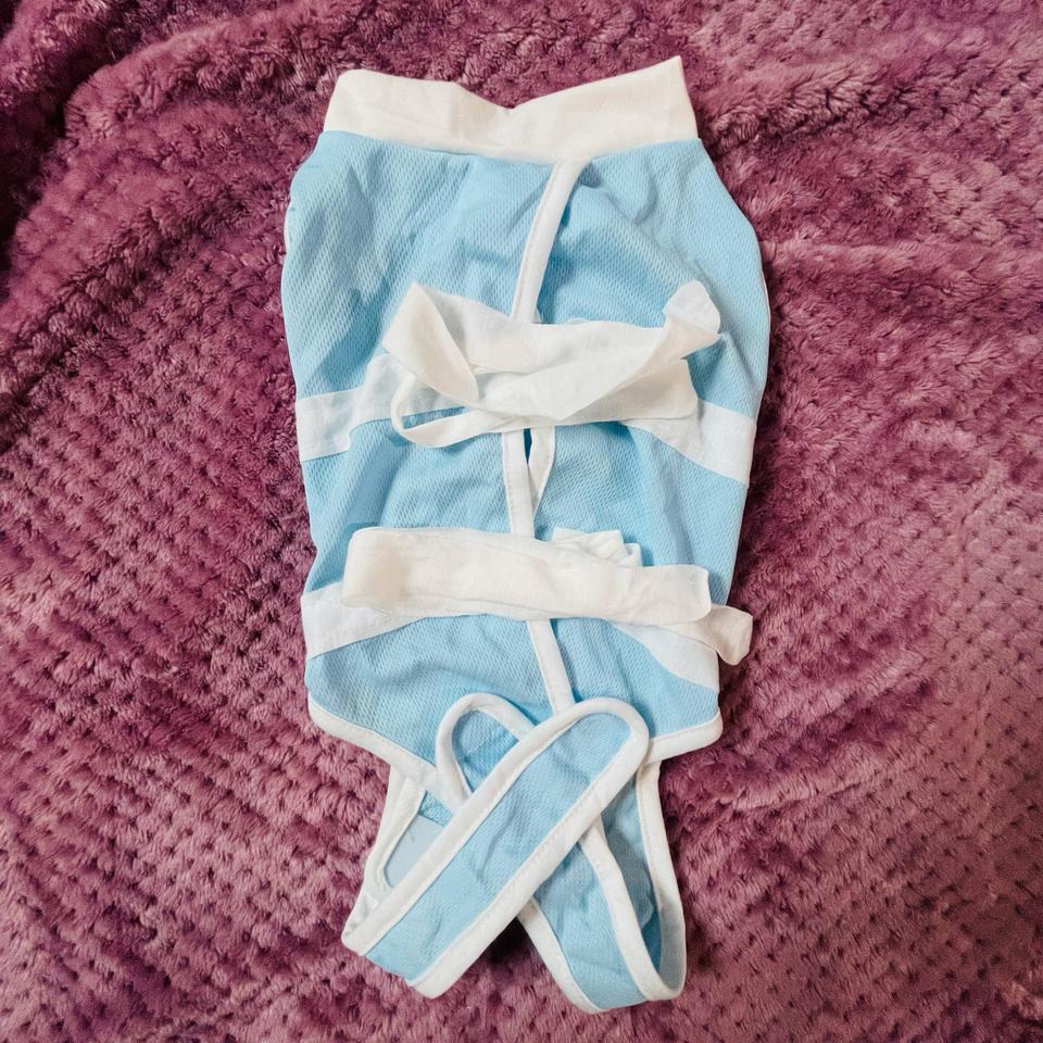 고양이 강아지 수술복 중성화옷 상처보호옷 환견복 그루밍방지