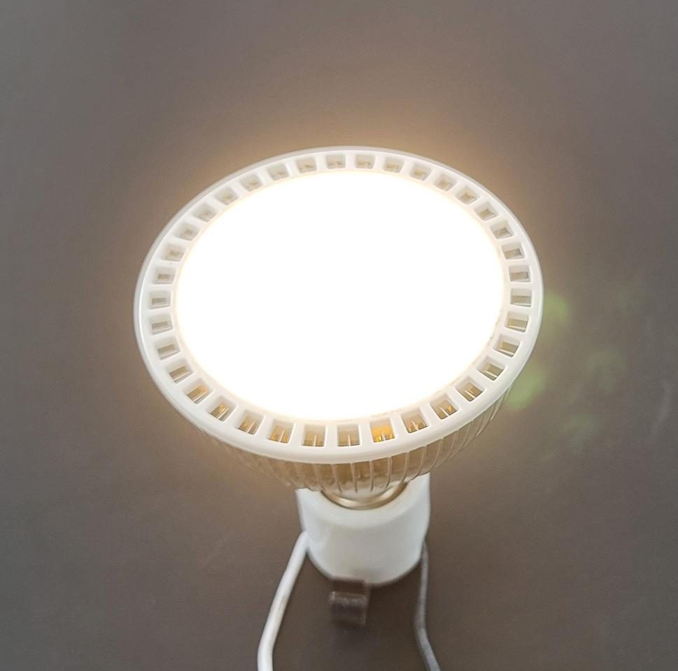 LED PAR30 램프(7W, 전구색, E26)