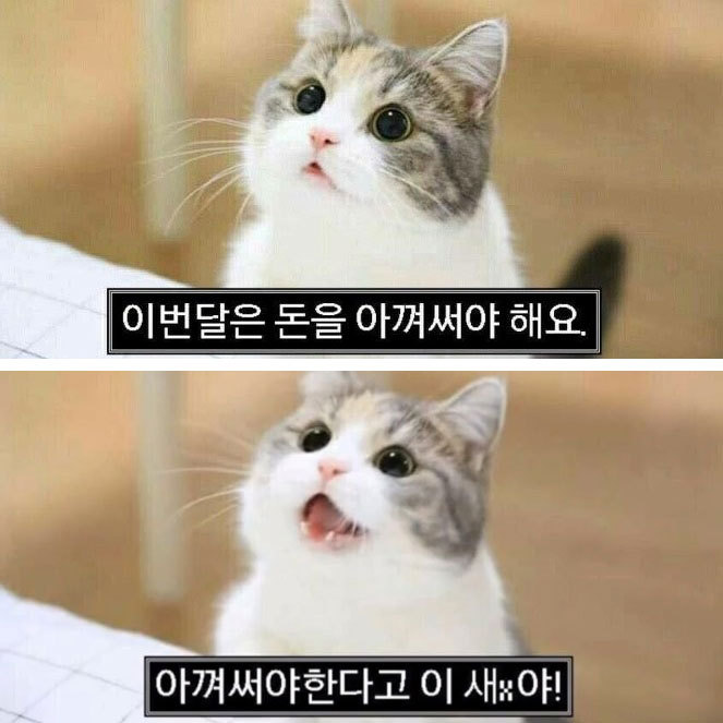 skt 데이터 1기가 처분