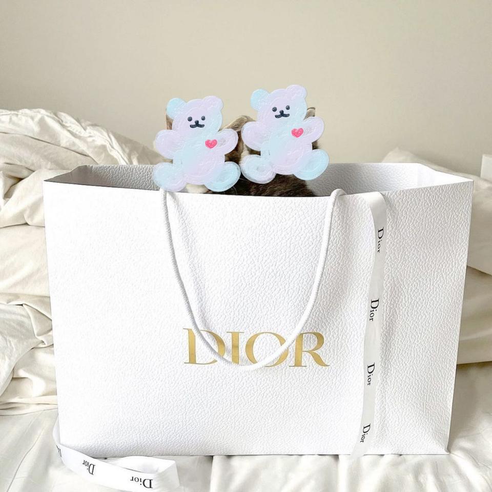 Dior 정품 디올 대형 쇼핑백
