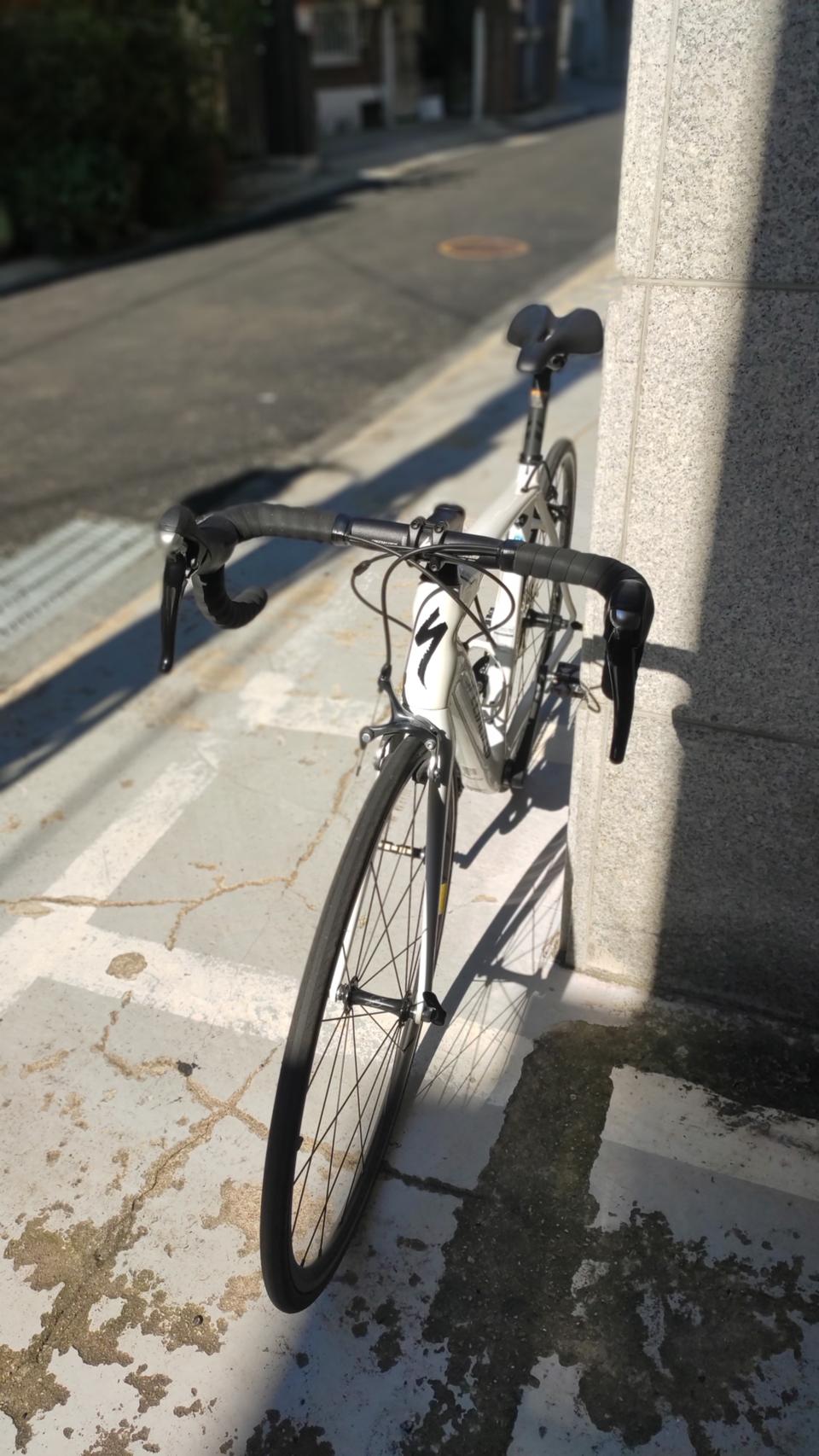 스페셜라이즈드 타막 sl4 펄화이트 색상