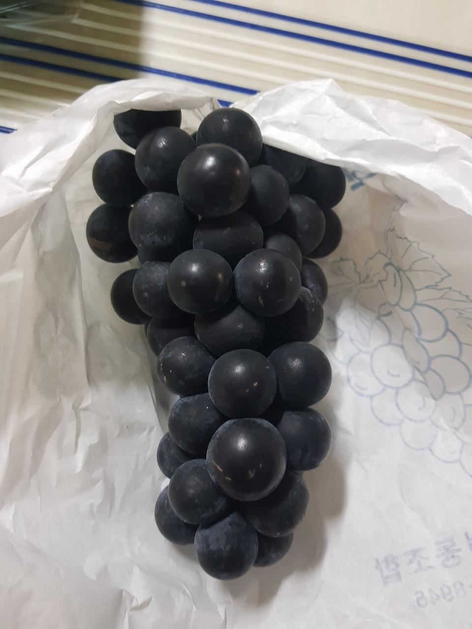 송산포도 3kg.5kg