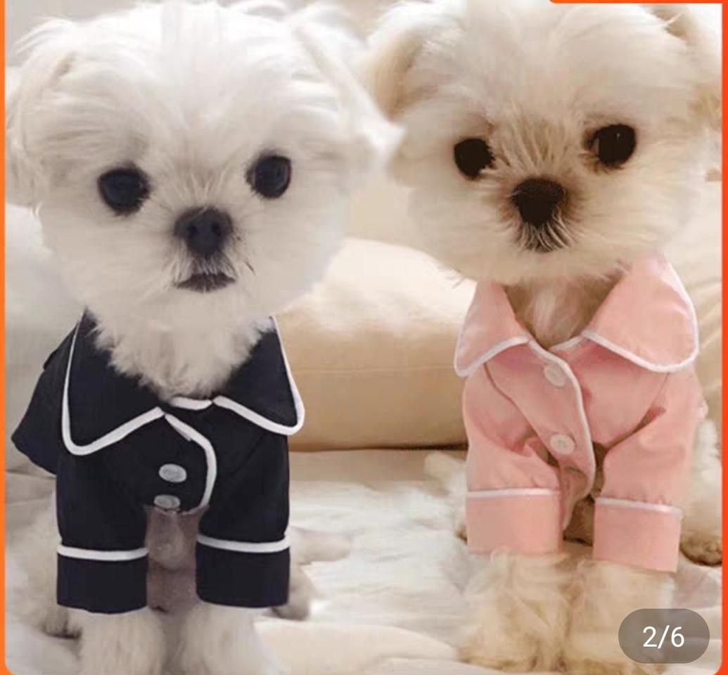 강아지 고양이 잠옷