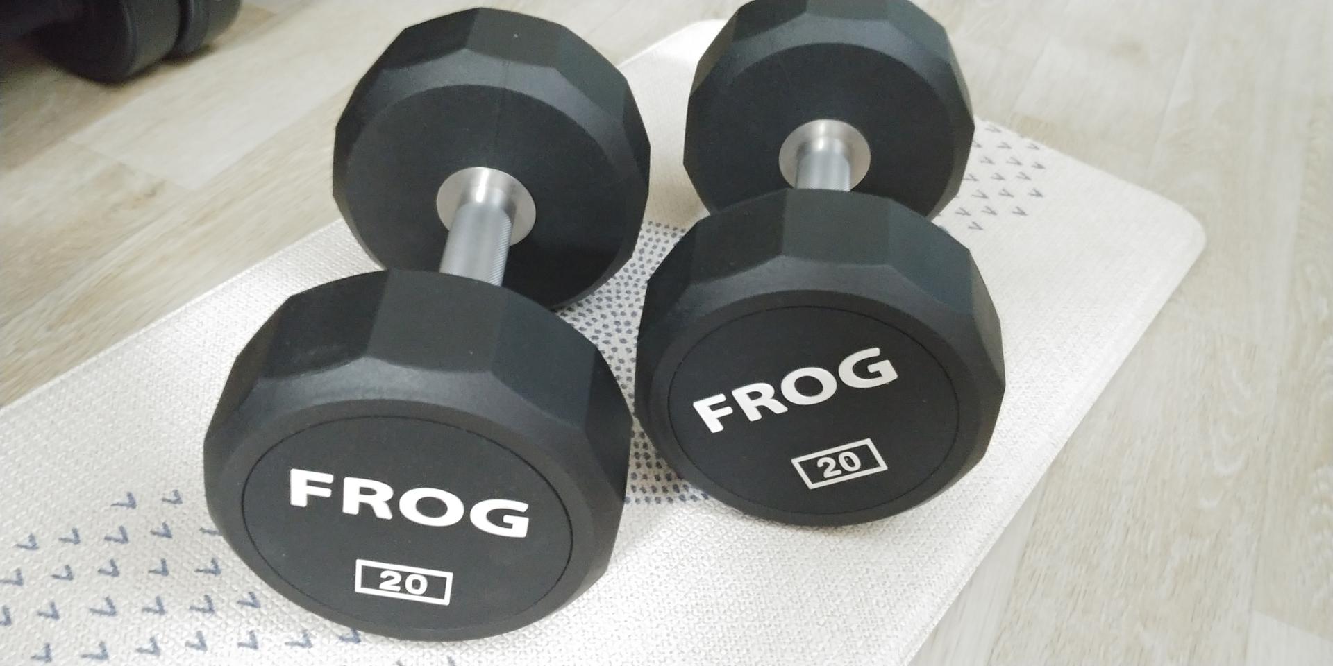 FROG 우레탄 코팅 20KG 아령 덤벨