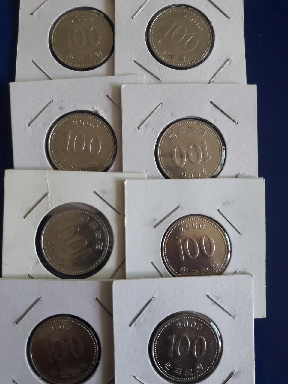 2000년 백주 미사용 8개