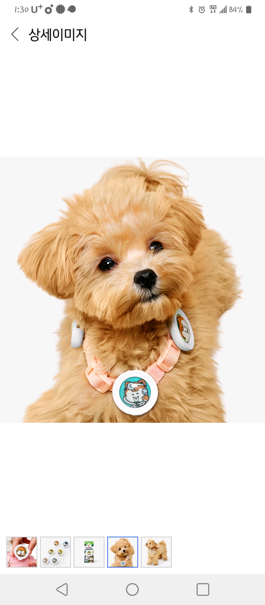 래핑찰리 이지세이프클립(해충기피제.천연오일)강아지,고양이★(5개모두)★