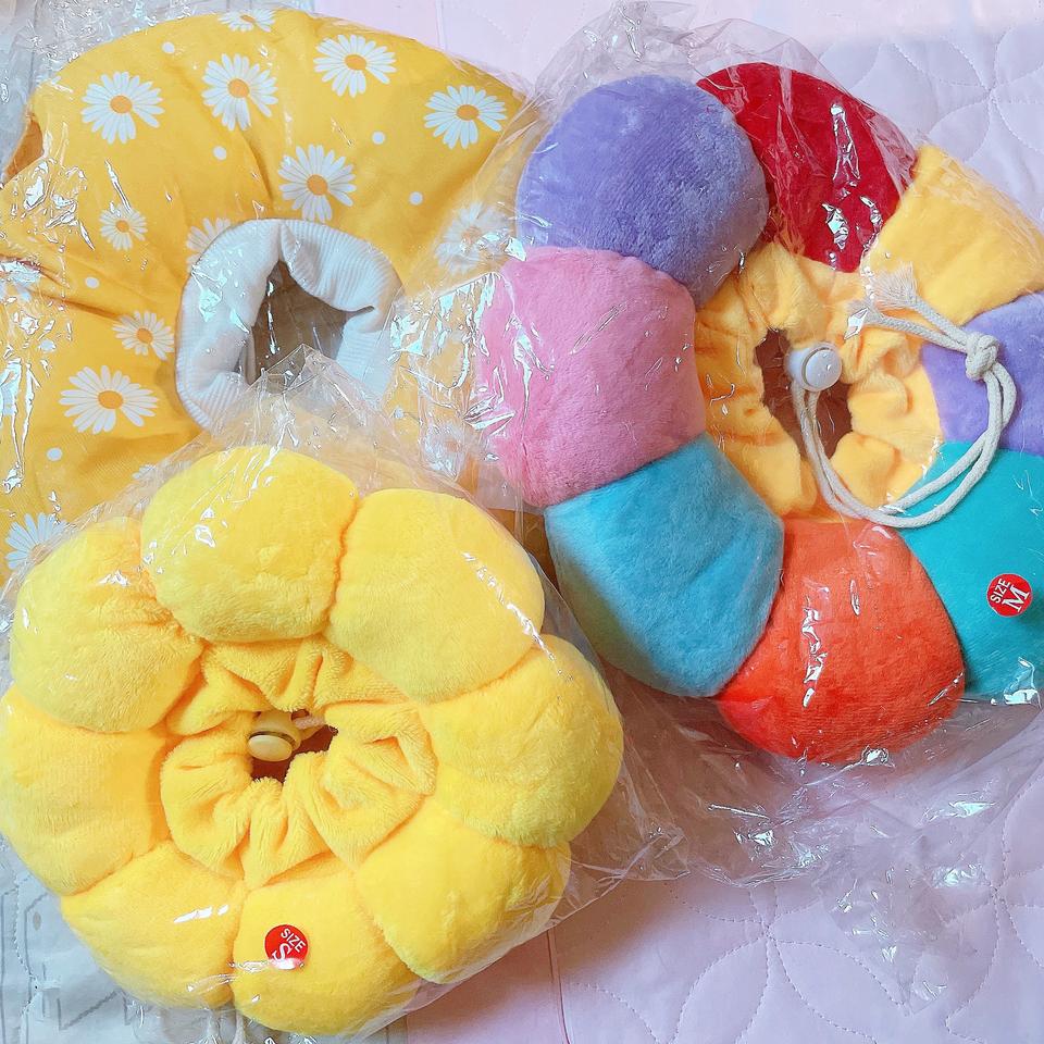 고양이 강아지 넥카라 반려동물 수술 그루밍방지