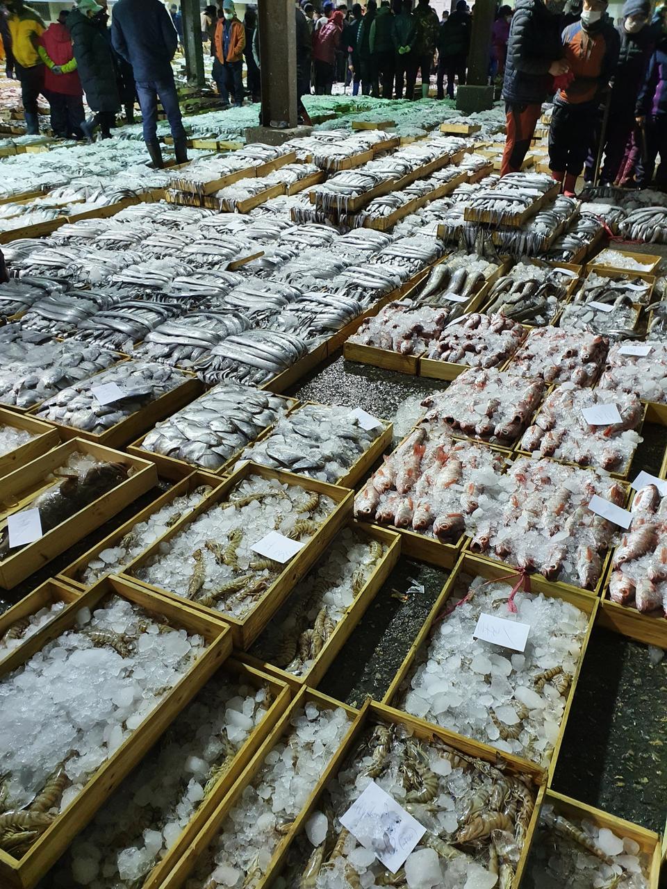 참조기(파조기)