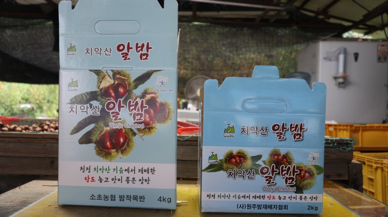 이평 대 사이즈 4kg