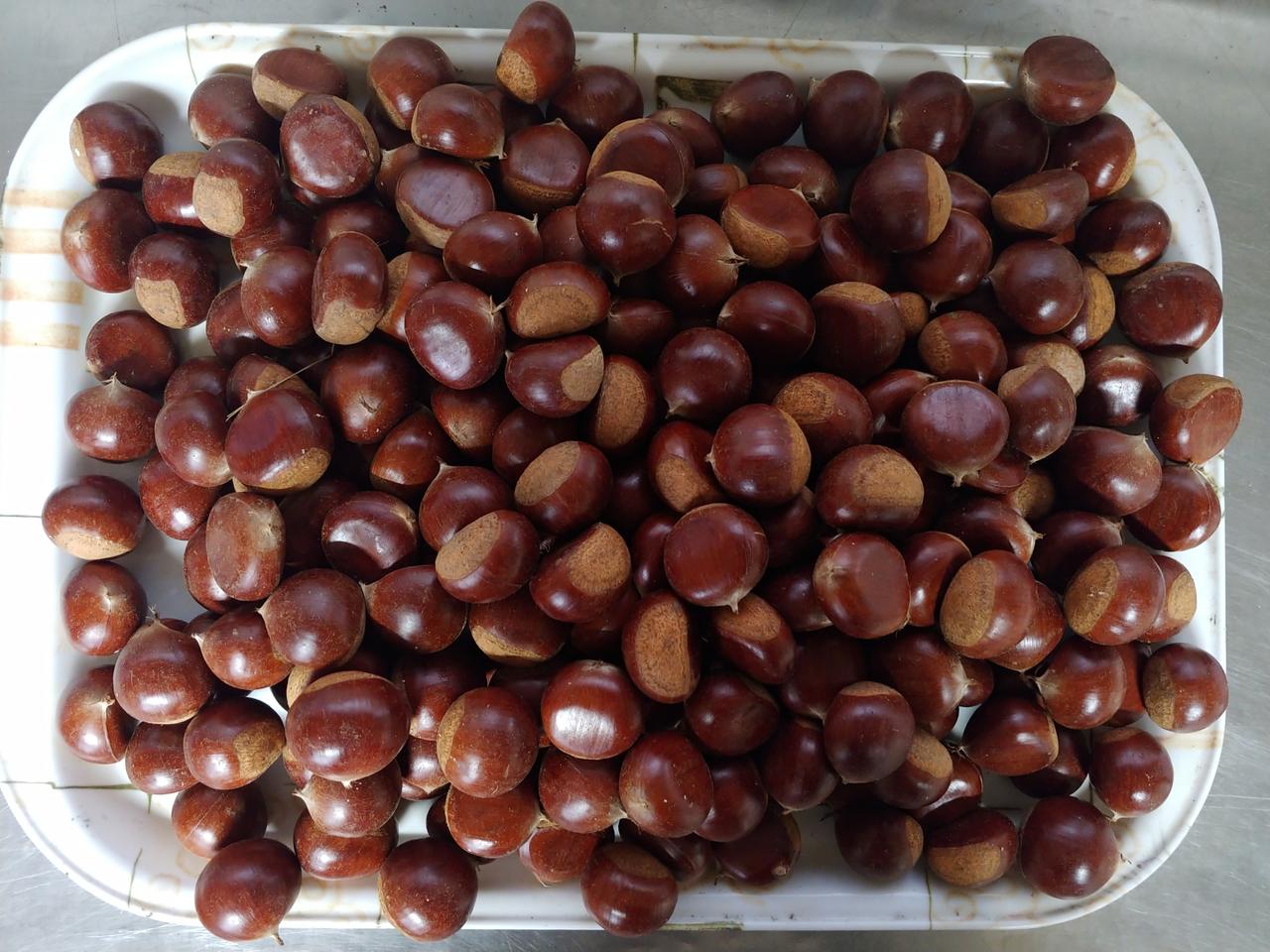 옥광 중 사이즈 2kg