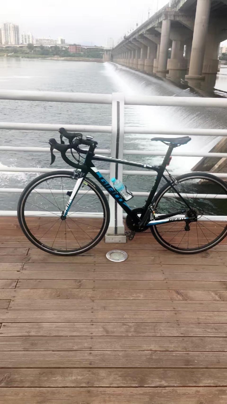 자이언트 TCR SLR1