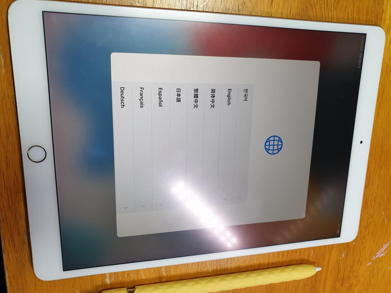 아이패드 프로2세대 10.5 Wifi + 애플펜슬, 케이스